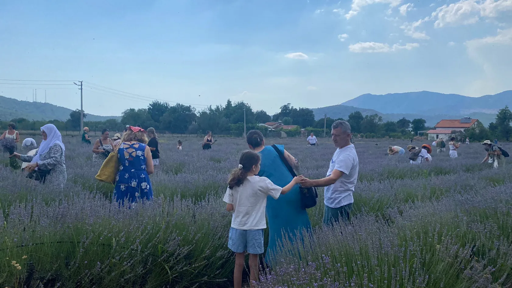 Fethiye'de lavantadan üretime, üretimden katma değere
