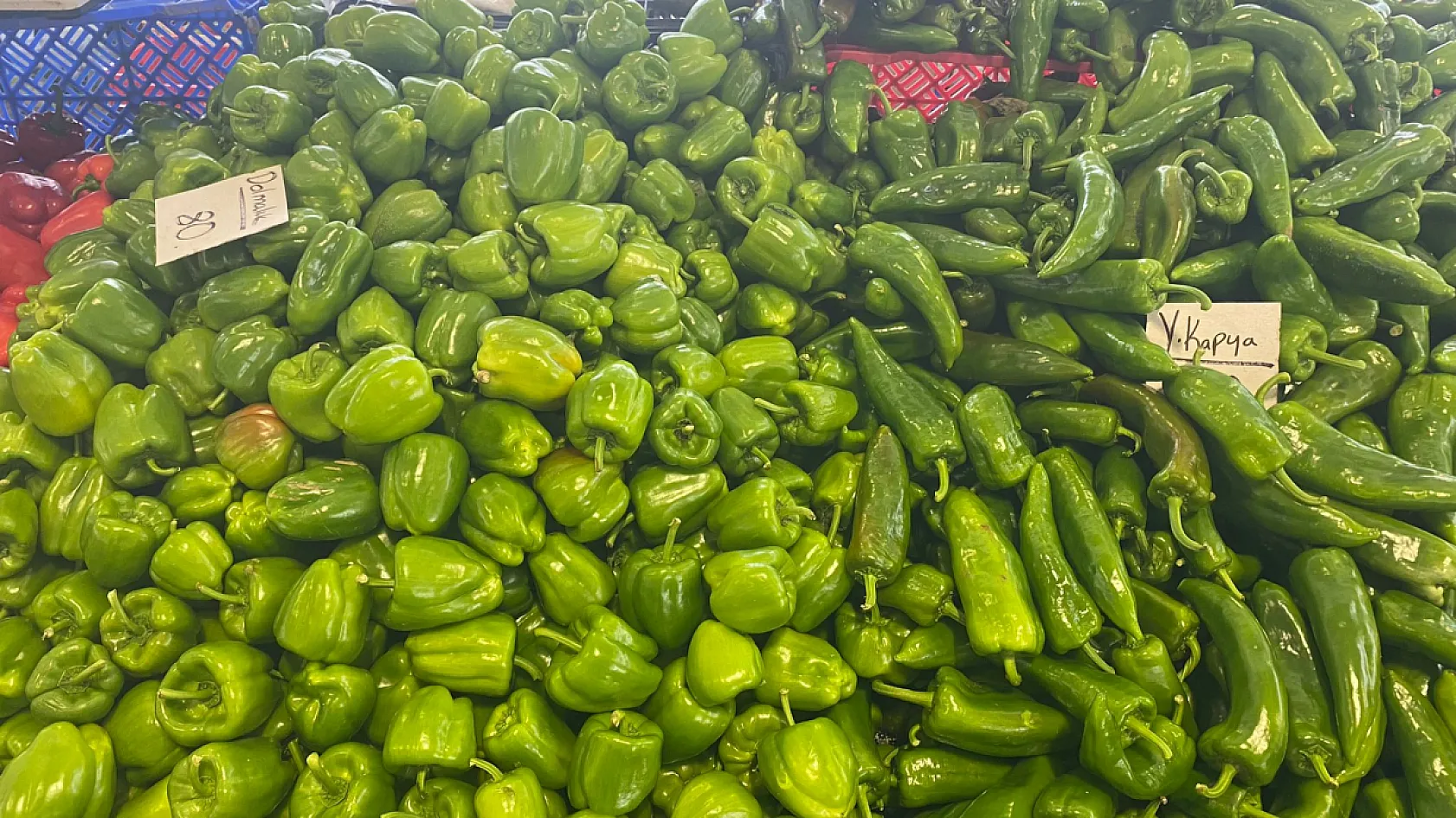 Fethiye Patlangıç Pazarı'nda güncel fiyatlar