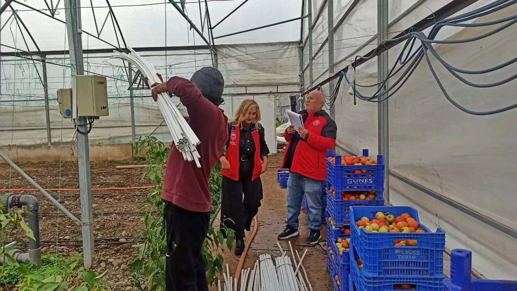 Fethiye'de seralarda hasar tespit çalışmaları sürüyor