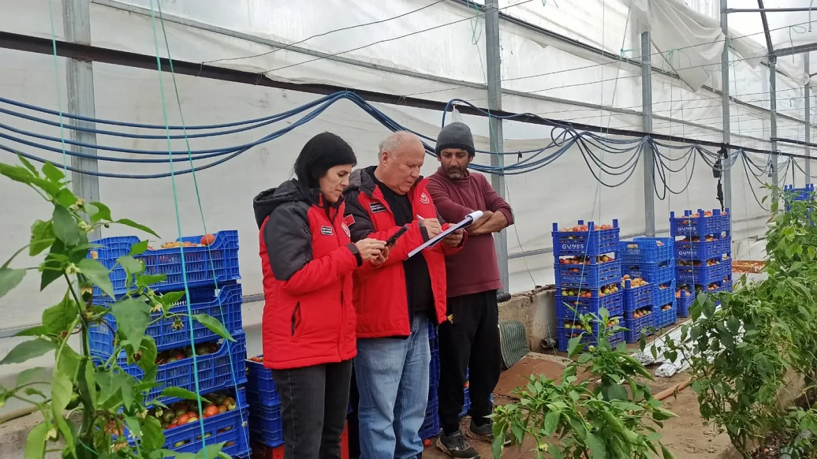 Fethiye'de seralarda hasar tespit çalışmaları sürüyor