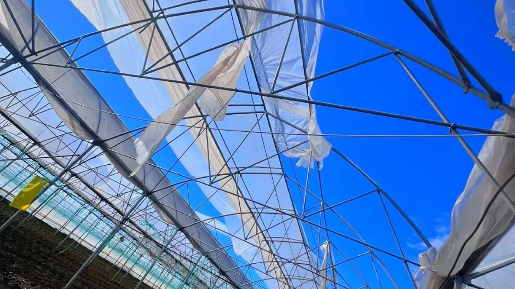 Fethiye'de seralarda hasar tespit çalışmaları sürüyor