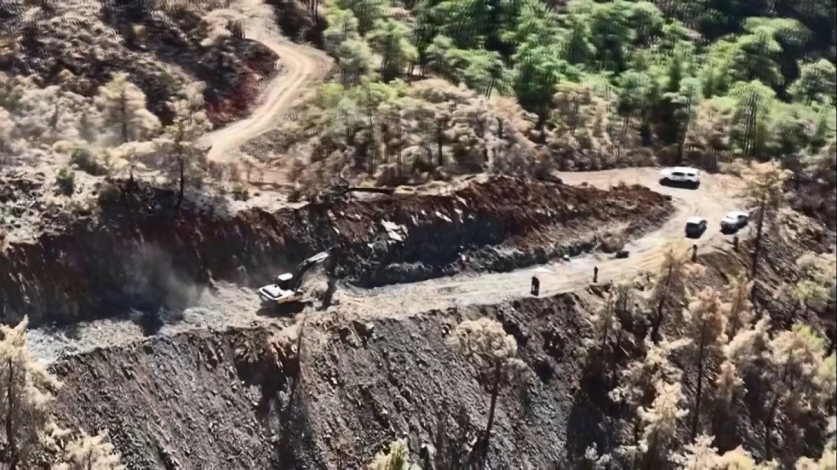 Köyceğiz'de yanan alanlarda ilk fidanlar 11 Kasım'da toprakla buluşacak
