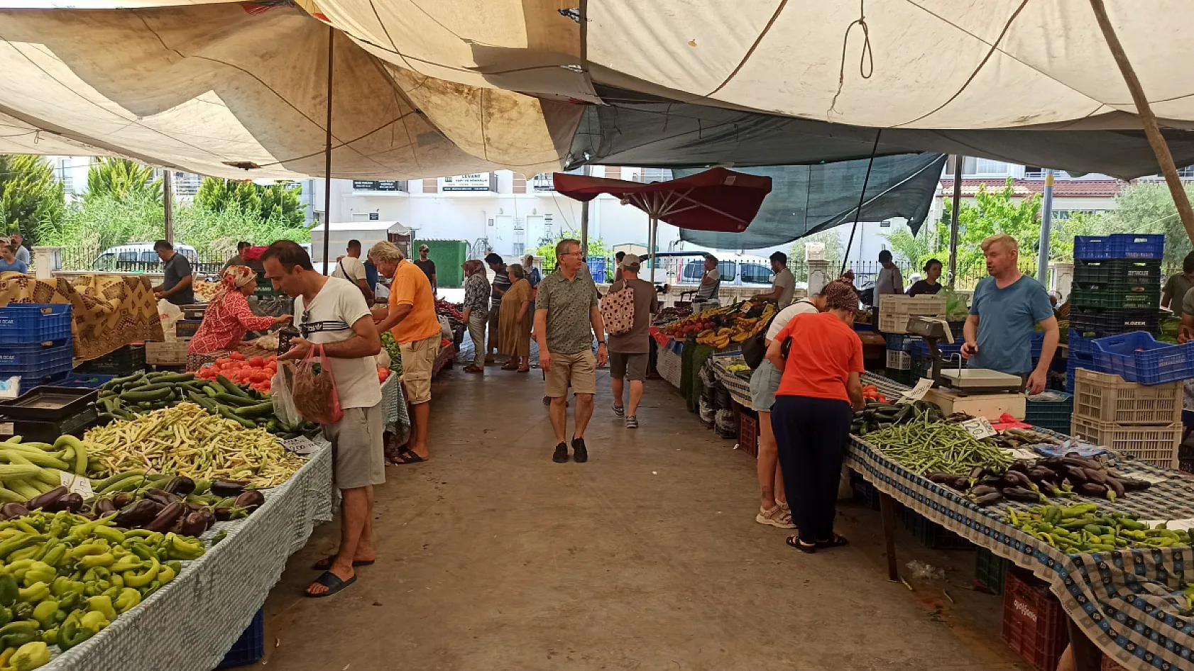 Fethiye Çalış Pazarı'nda güncel fiyatlar: Karpuz 20 TL, Kiraz 100 TL