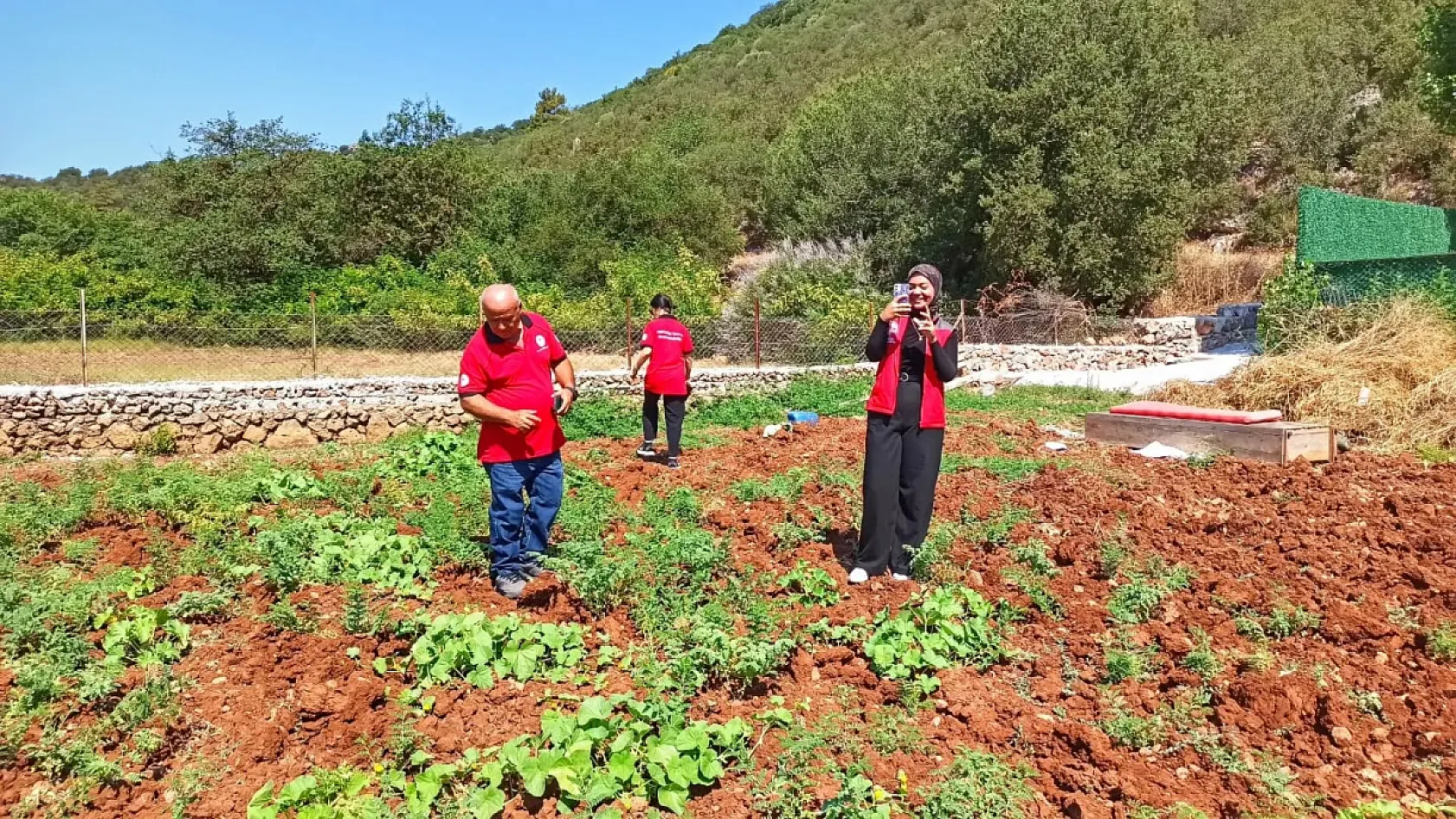 Fethiye'de üretim planlaması için nohut tarlaları incelendi