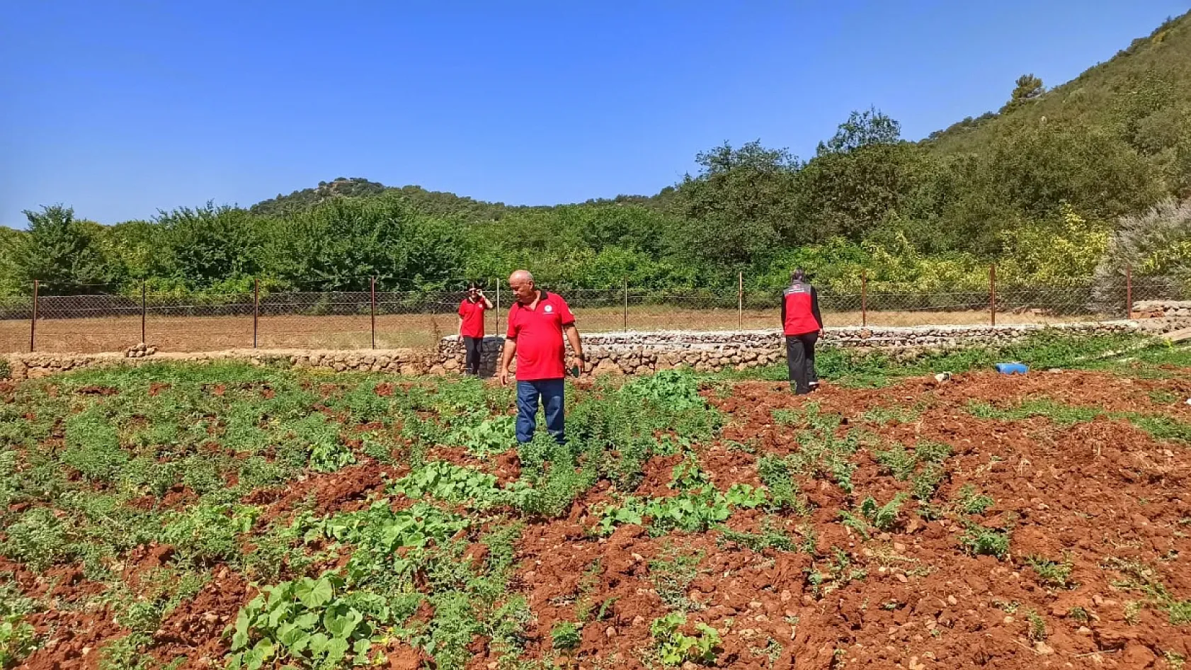 Fethiye'de üretim planlaması için nohut tarlaları incelendi