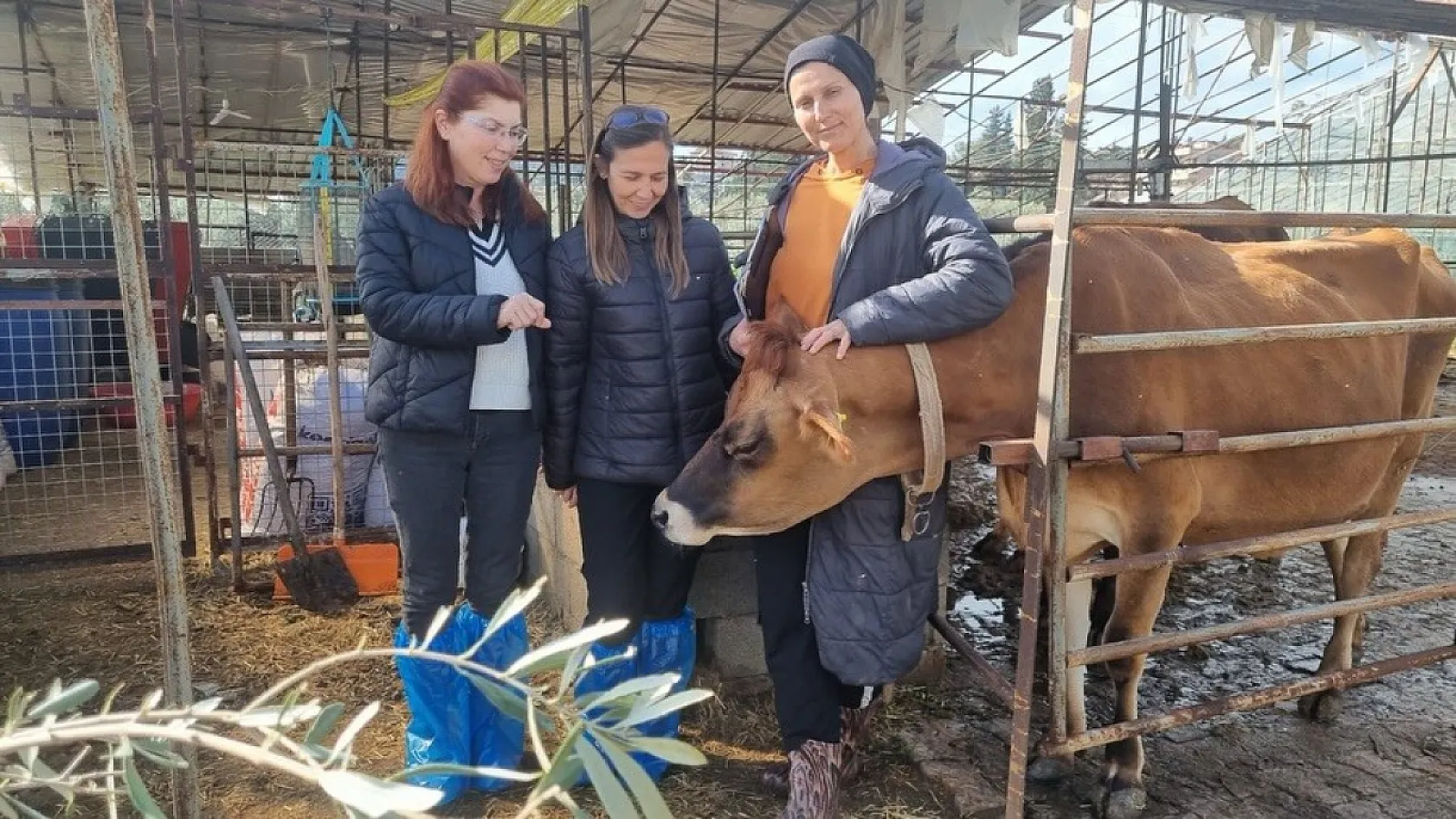 Muğla'daki projeyle üreticiler bilgilendiriliyor