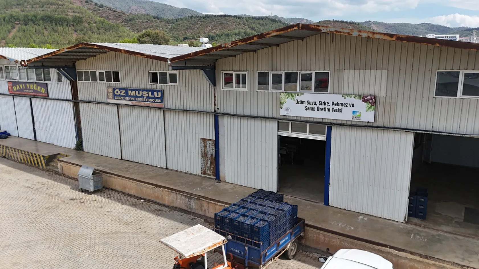 Muğla Büyükşehir'den Bağcılığa Modern Dokunuş