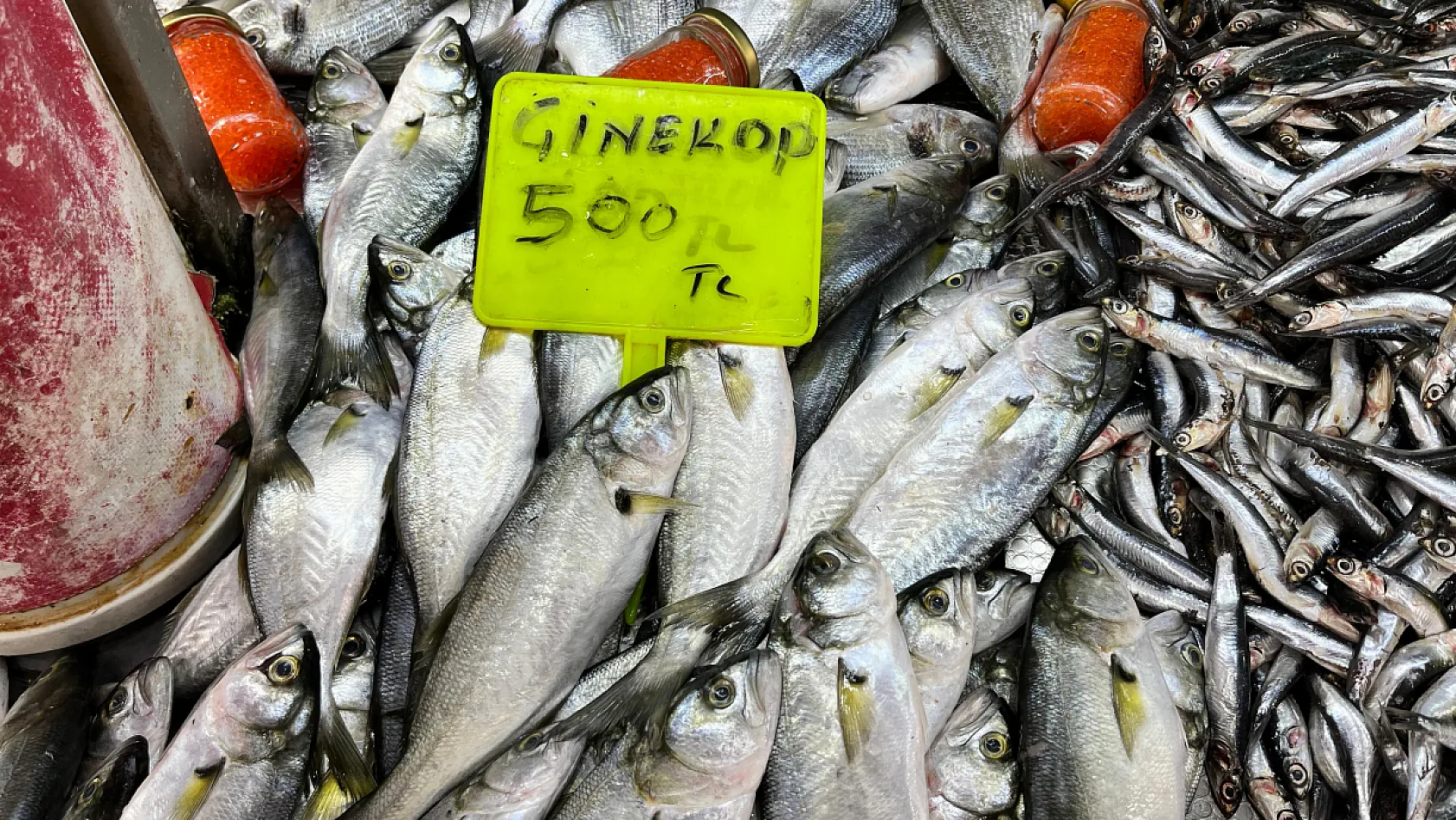 Fethiye Balık Pazarı'nda Fiyatlar ve Pazar Durumu