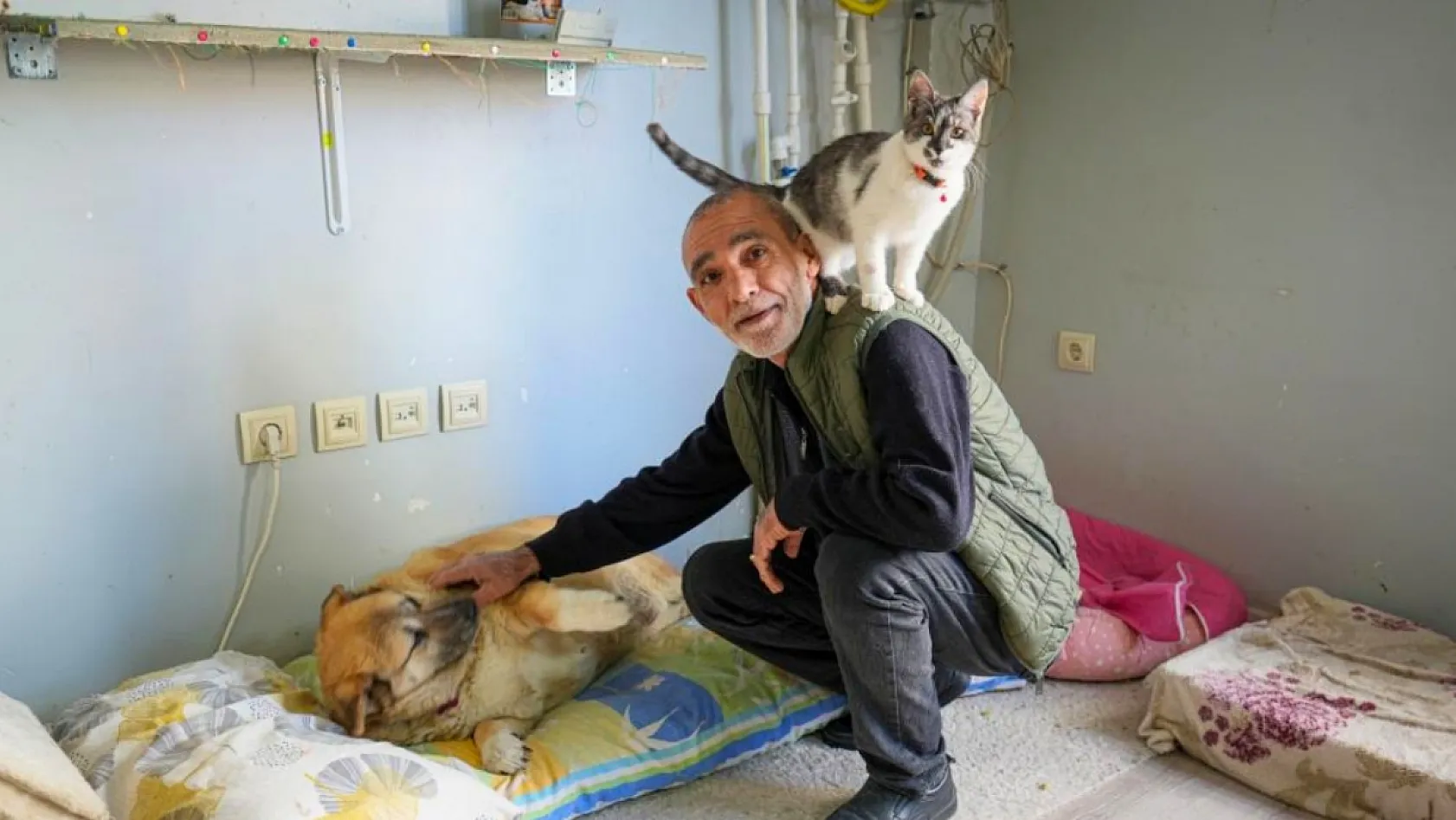 13 yaşındaki obez köpek 'Kız', yürüyüş yaparak zayıflıyor