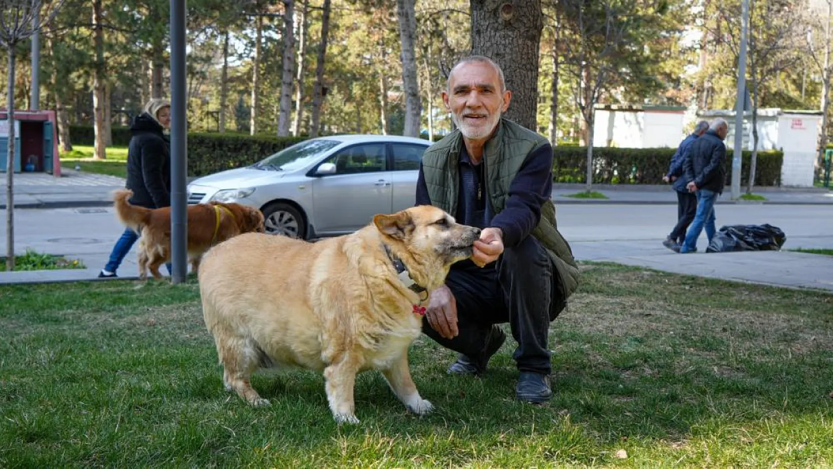 13 yaşındaki obez köpek 'Kız', yürüyüş yaparak zayıflıyor