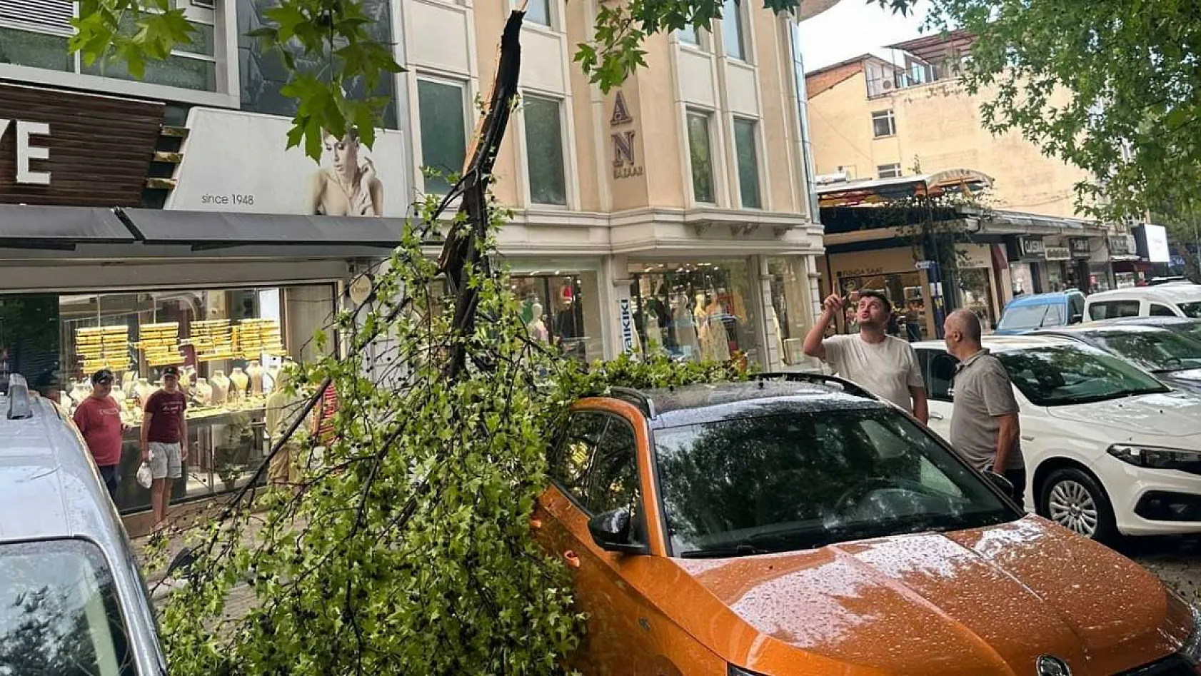 Fethiye'de ağaçtan kopan dal park halindeki aracın üzerine düştü