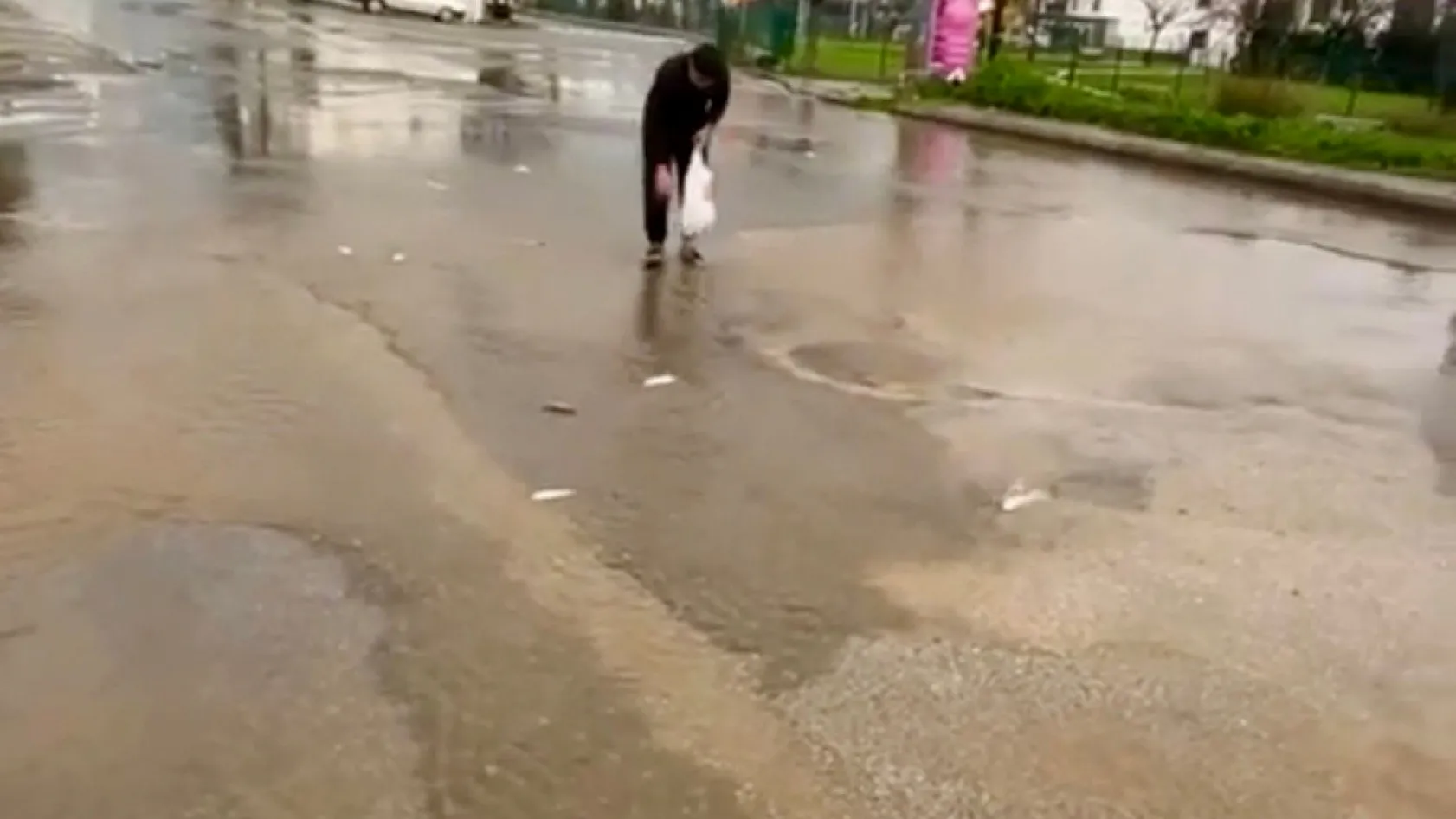 Bodrum'da sağanak baskını: Gölet taştı, asfalta balık yağdı