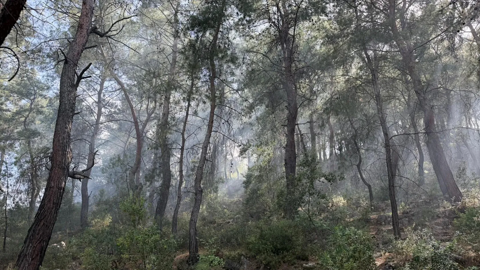 Son dakika! Fethiye'de orman yangınına havadan ve karadan müdahale