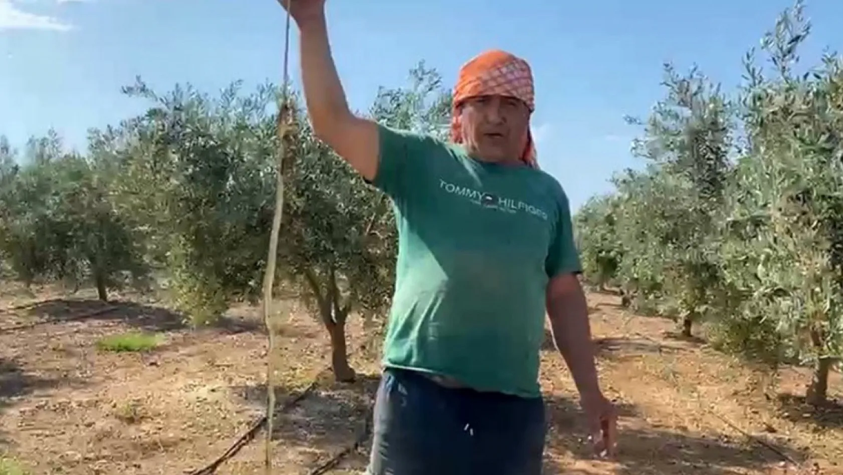'Yılanı öldürdüm' deyip çektirdiği video pahalıya mal oldu: 22 bin TL ceza yedi