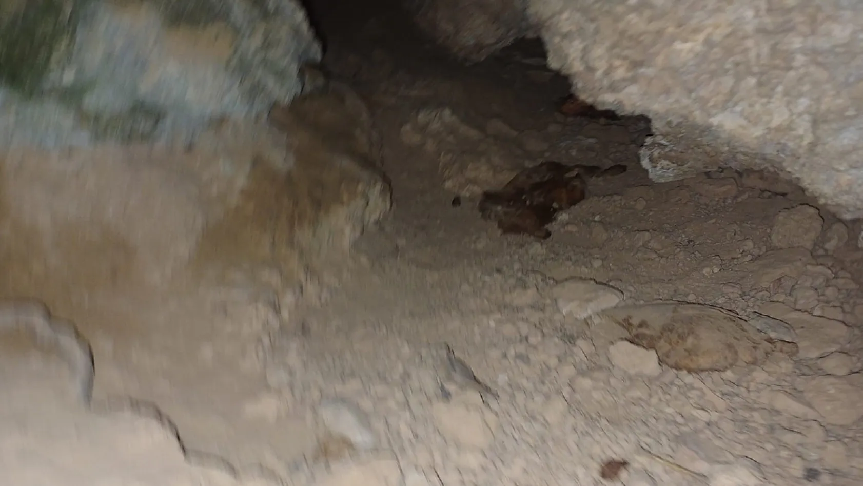 Kanyondaki oyuktan gelen köpek sesleri endişelendirdi
