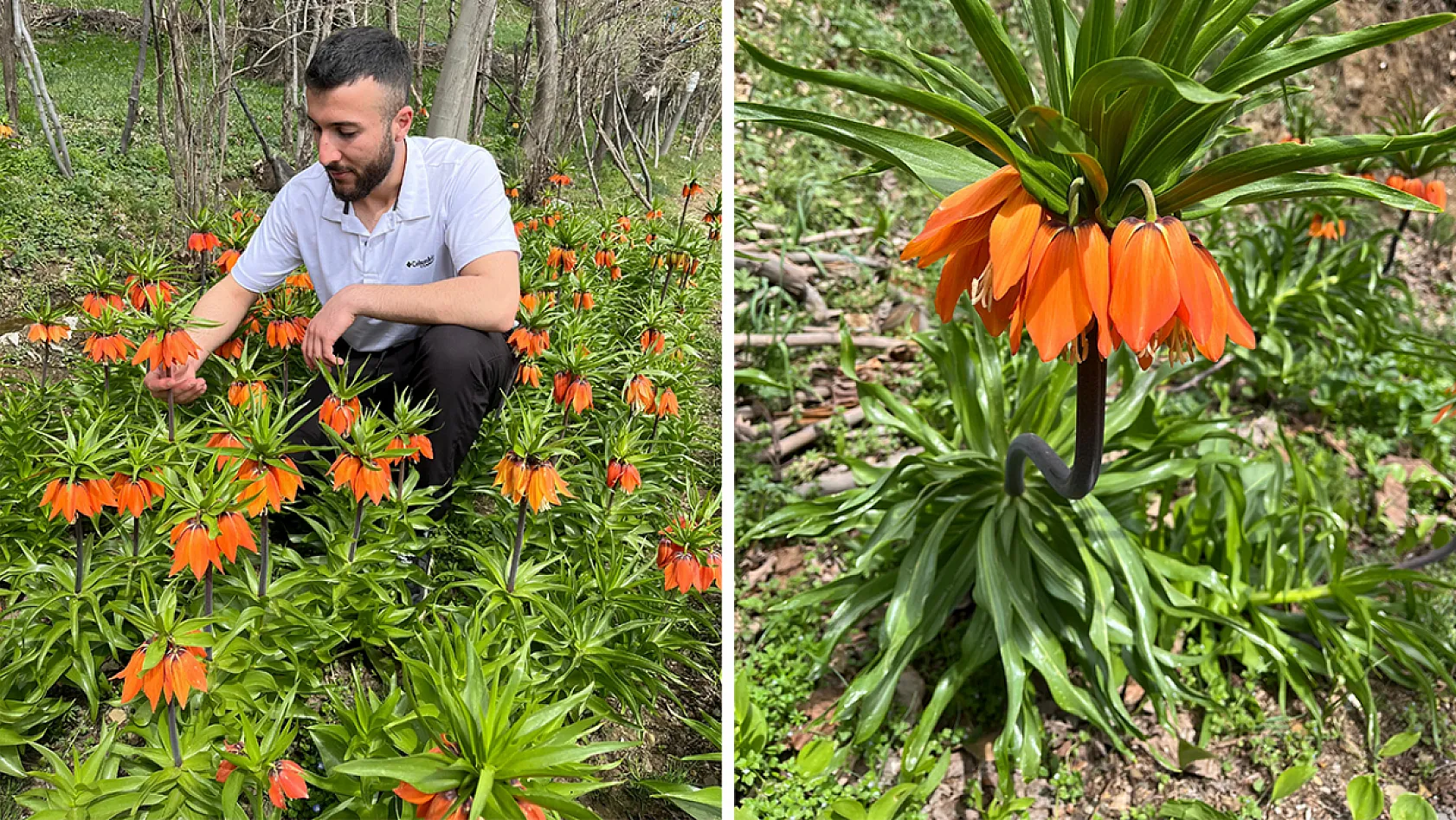 20 Günlük Ömrü Var, Zarar Vermenin Cezası 244 Bin Lira