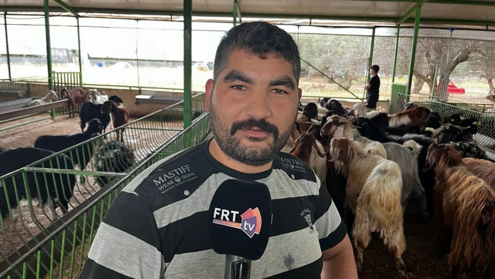 Fethiye'de kurbanlık satışları başladı En ucuzu 10, en pahalısı ise 170 bin TL 