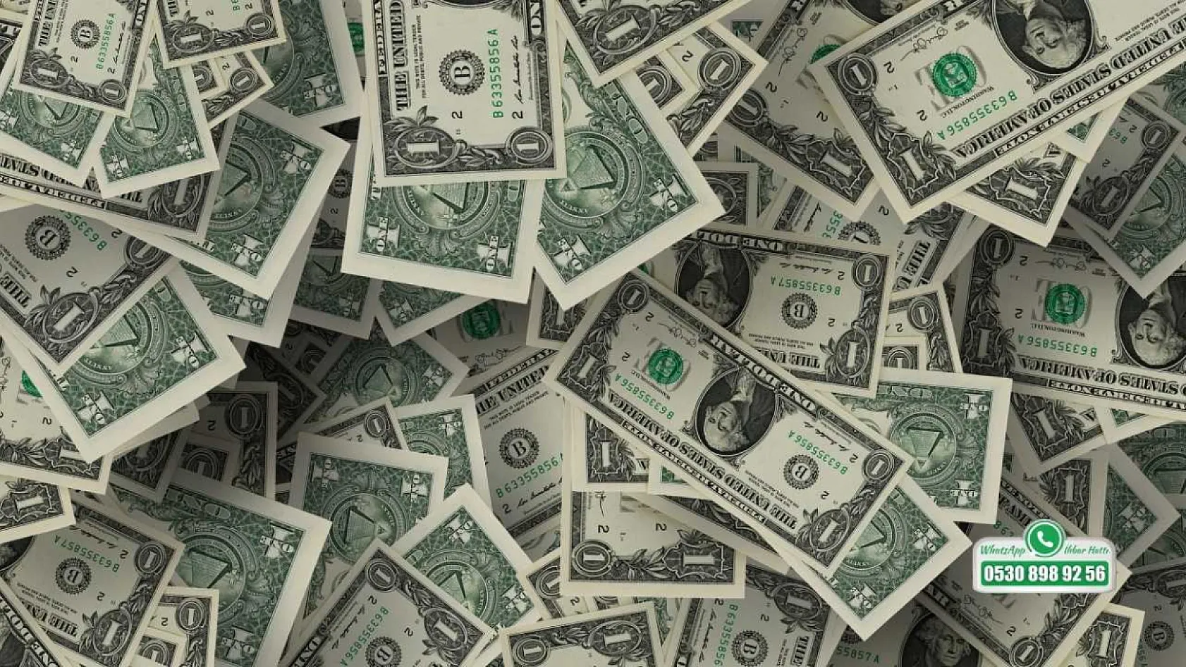 1 Eylül 2025 Döviz Kuru: Dolar ve Euro'da Son Durum