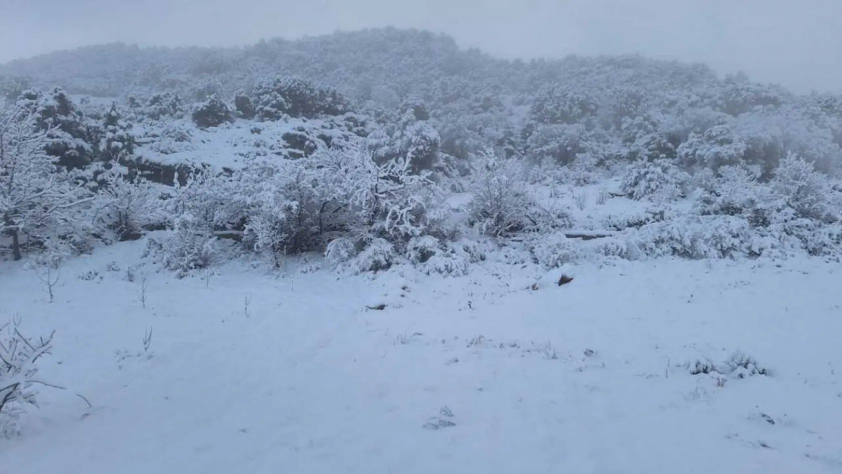 Seydikemer Yayla Zorlar'da kış güzelliği