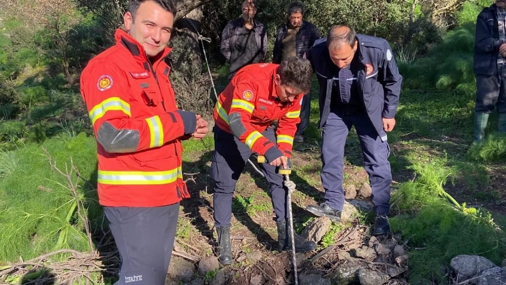 Bodrum'da kuyuya düşen buzağı kurtarıldı