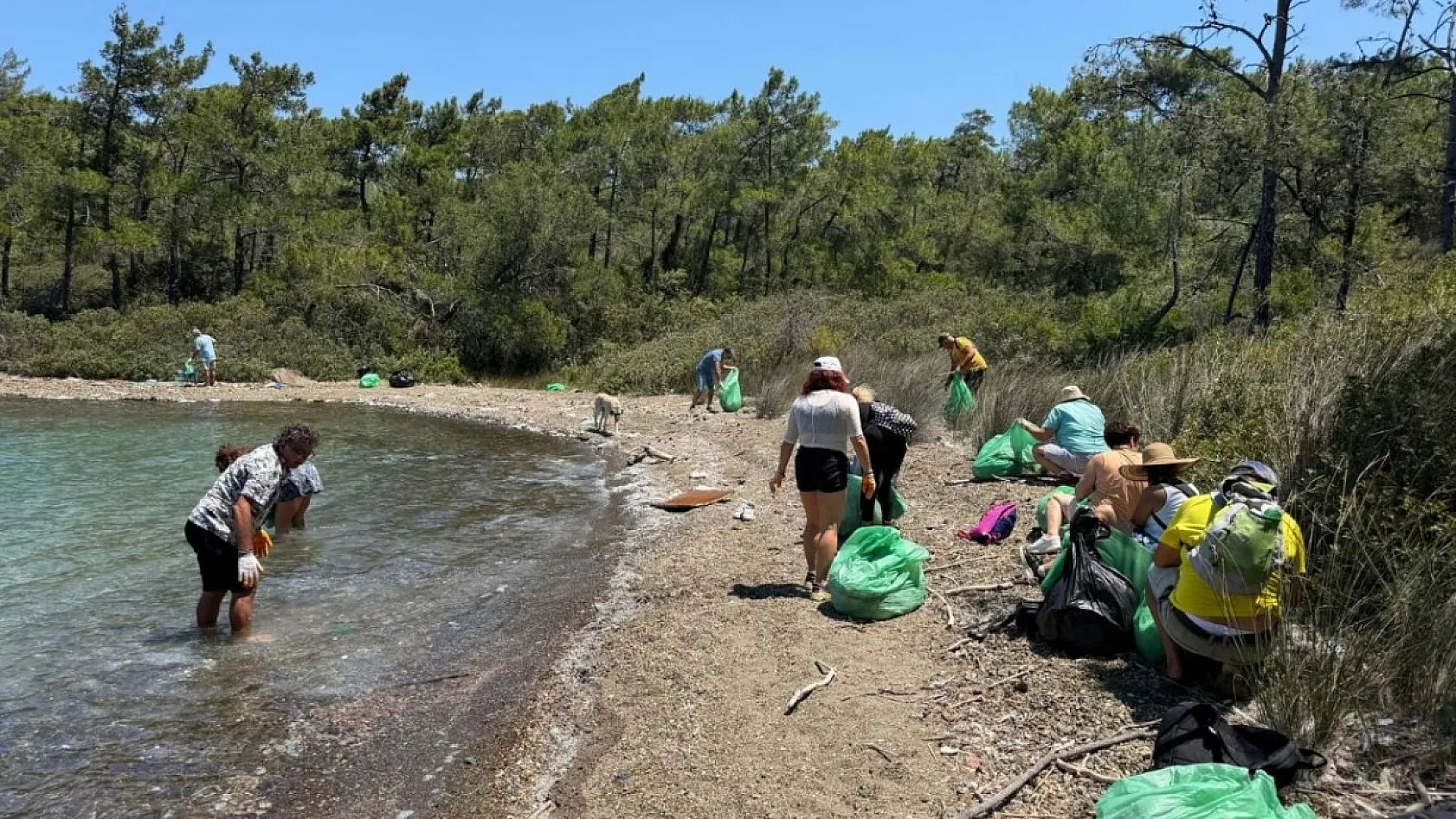 Marmaris'te doğa için el ele verdiler, Balıkaşıran koyunu temizlediler