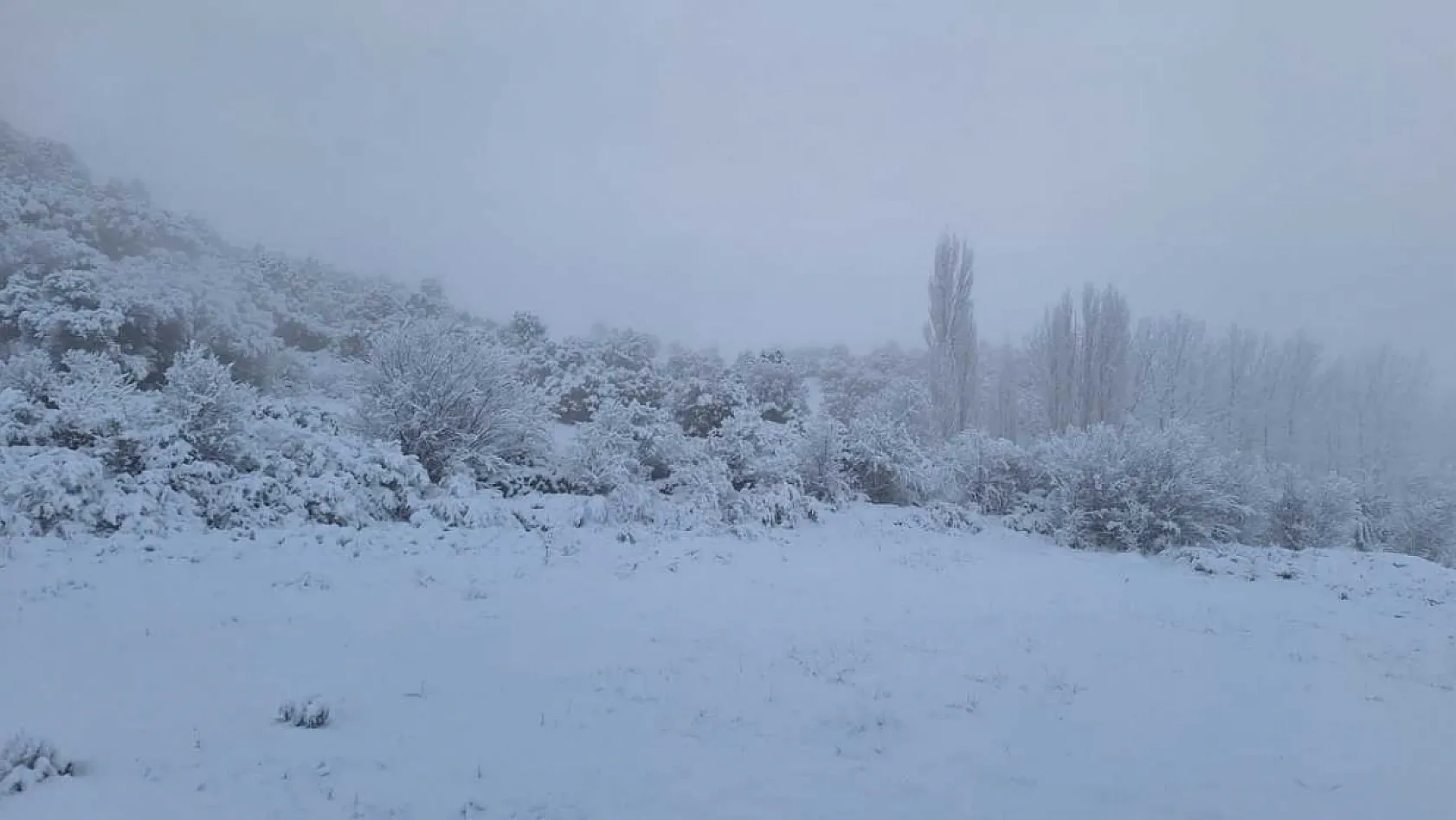 Seydikemer Yayla Zorlar'da kış güzelliği