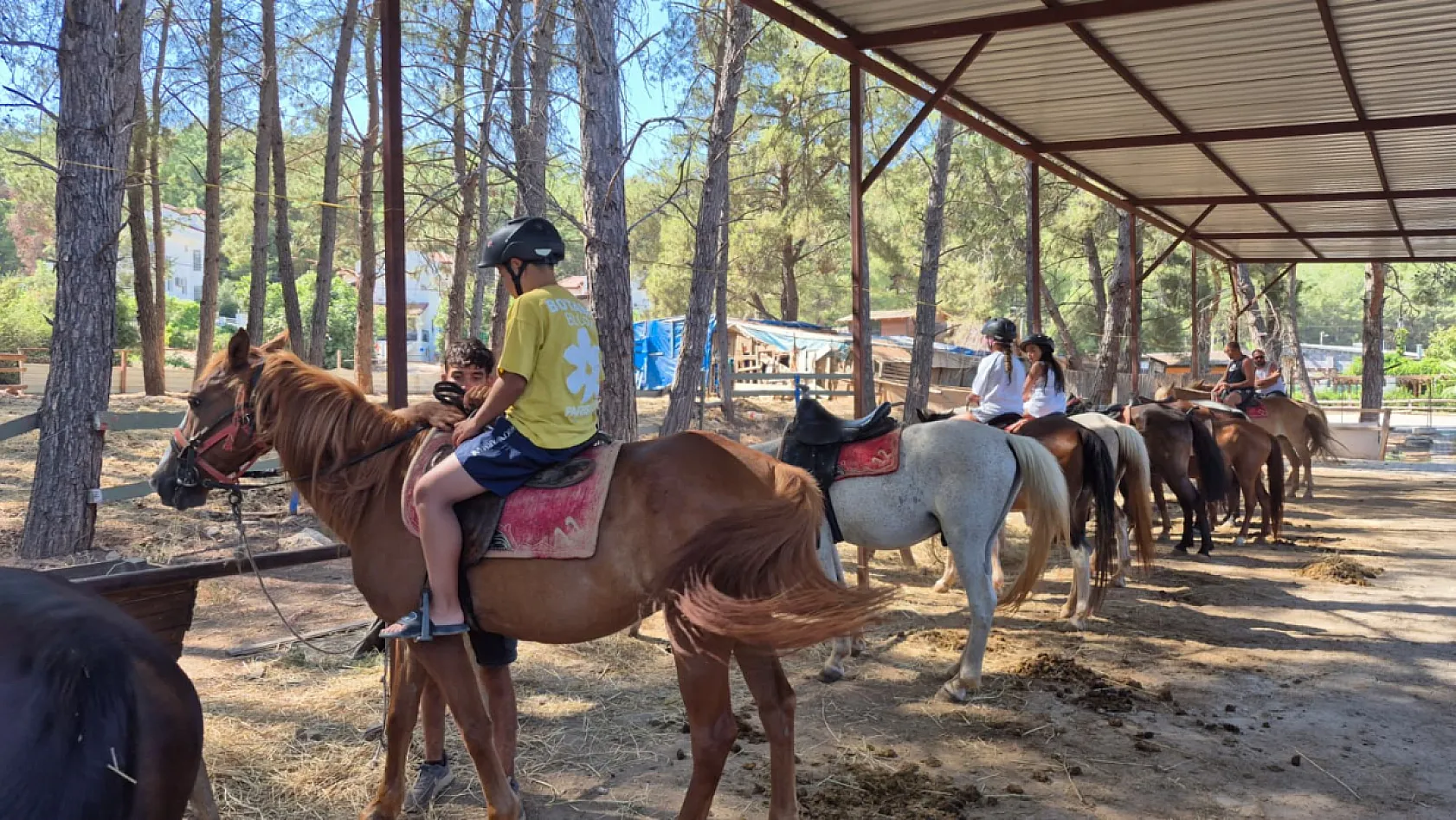 Fethiye'de atlarla doğa turu: 'Atların insan üzerinde çok büyük bir etkisi var'