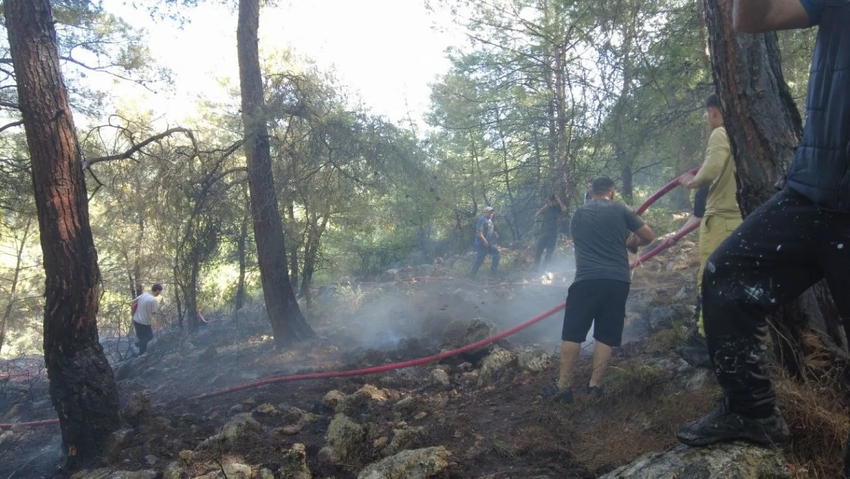 Fethiye'deki orman yangını kontrol altına alındı