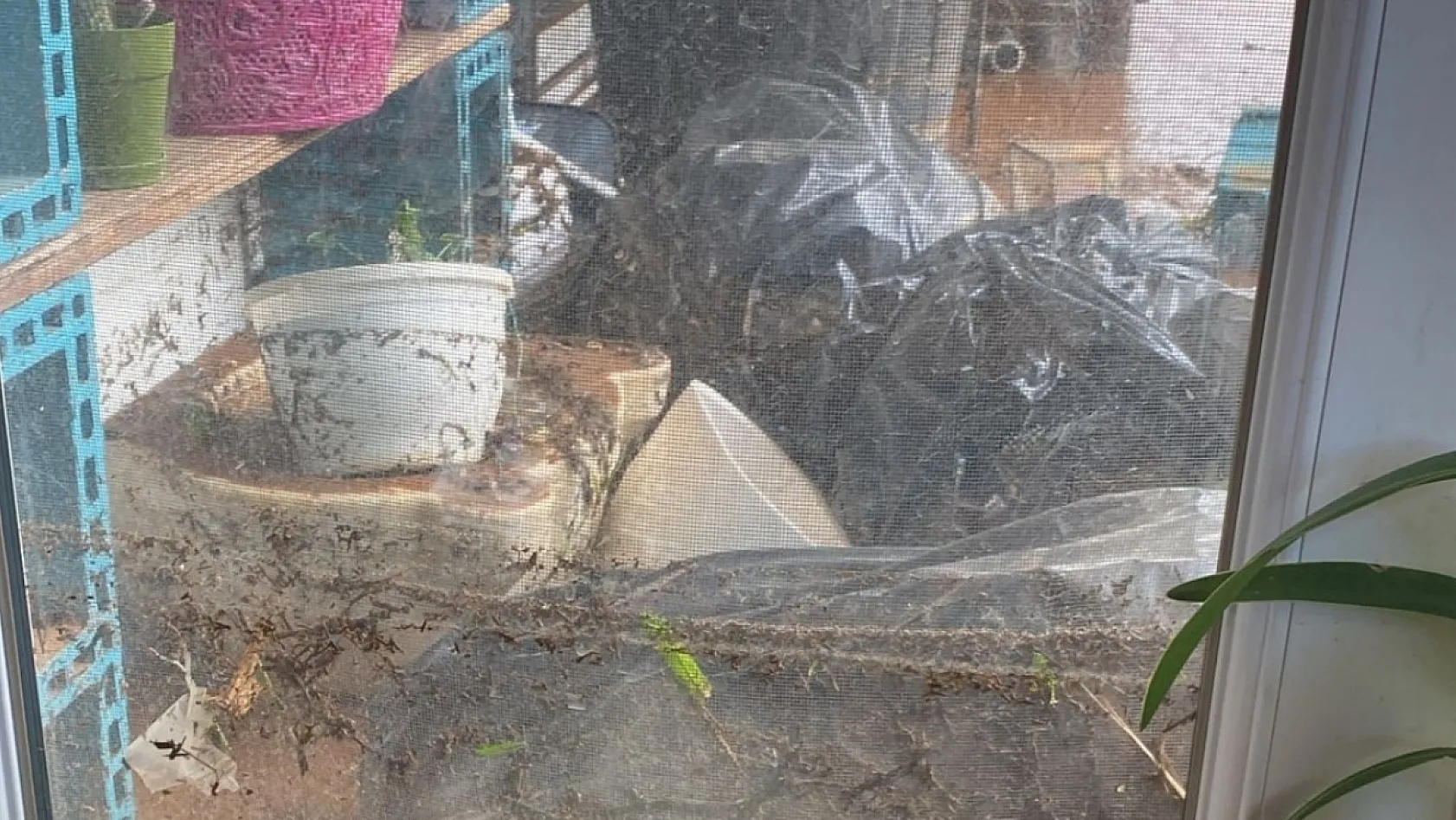 Bodrum'da bir anda bastıran yağmur kamyoneti yolda bıraktı, bir evi su bastı