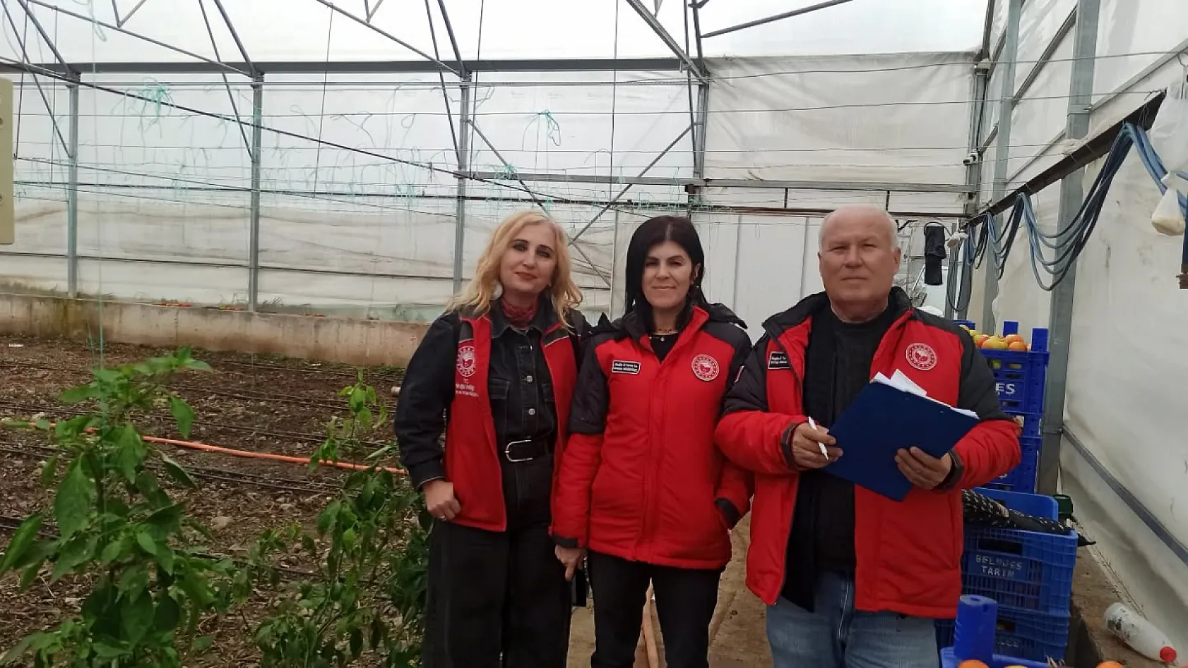 Fethiye'de seralarda hasar tespit çalışmaları sürüyor