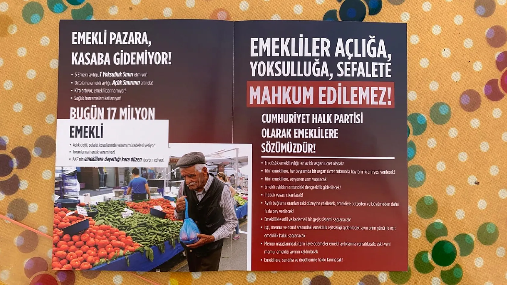Fethiye'de CHP Gençlik Kolları Emeklilerin Geçim Sıkıntısına Dikkat Çekti