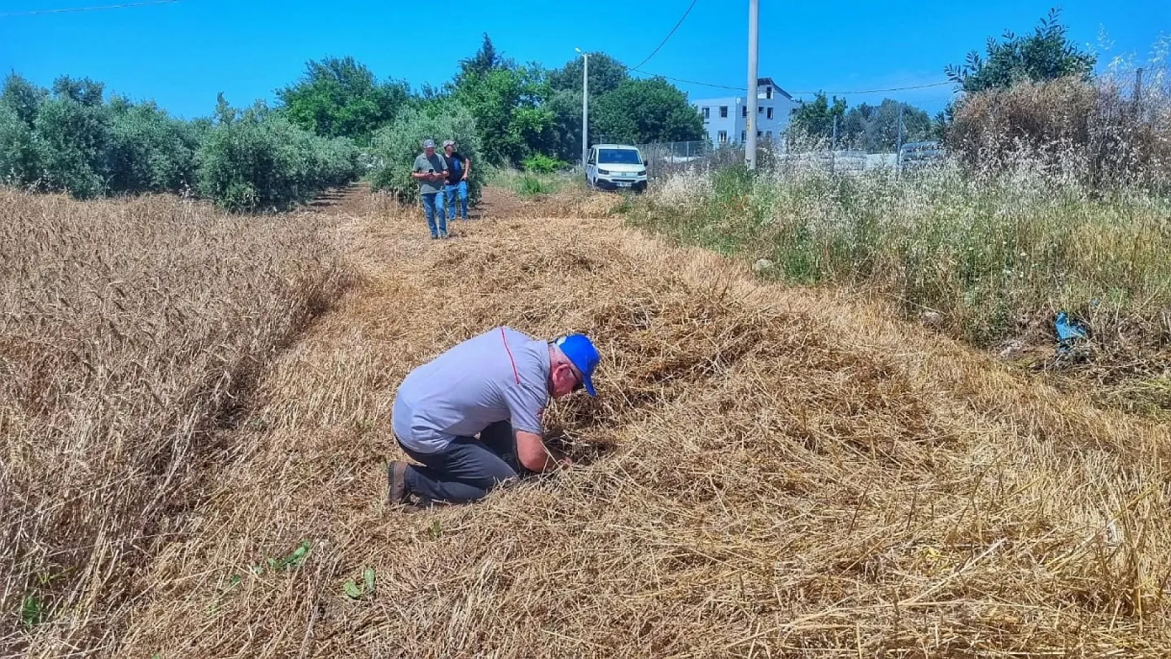 Fethiye'de Biçerdöver Kontrolleri ve Anız Yakma Yasağı Eğitimleri Sürüyor
