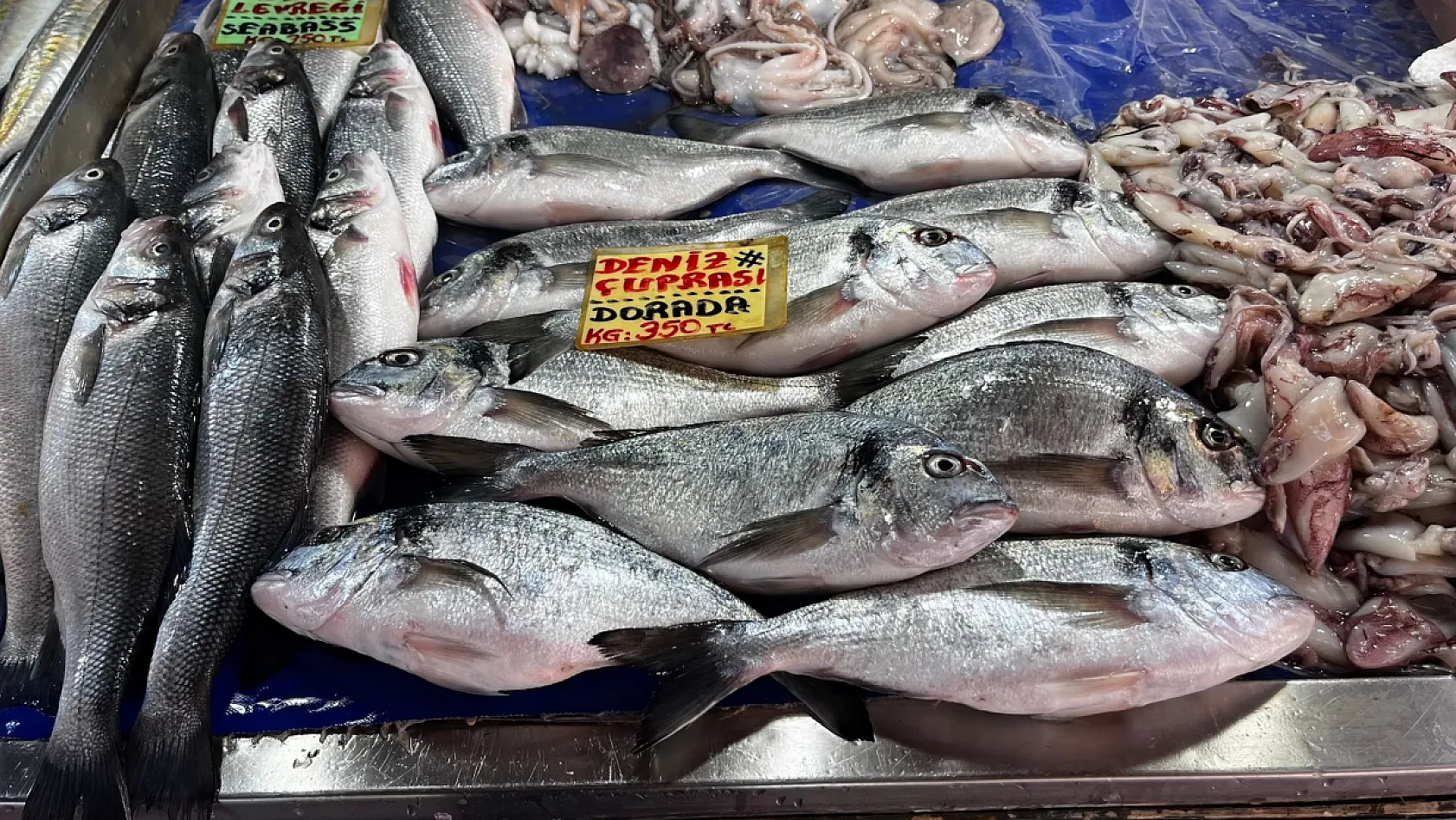 Fethiye'de balık fiyatları Bodrum ve Marmaris'ten uygun 