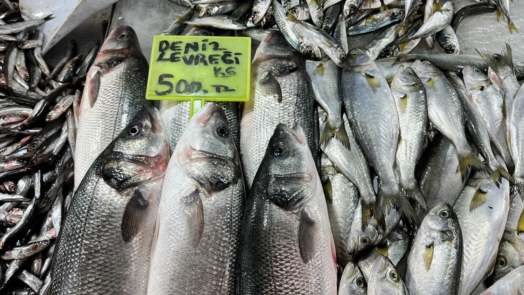 Fethiye Balık Pazarı'nda Fiyatlar ve Pazar Durumu