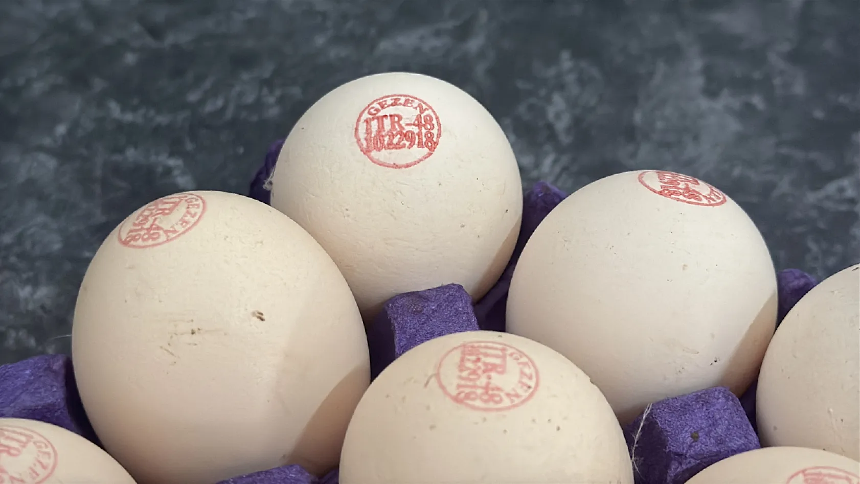 Devlet desteğiyle 18 yaşında kurduğu çiftliğini 14 bin tavuklu işletmeye dönüştürdü