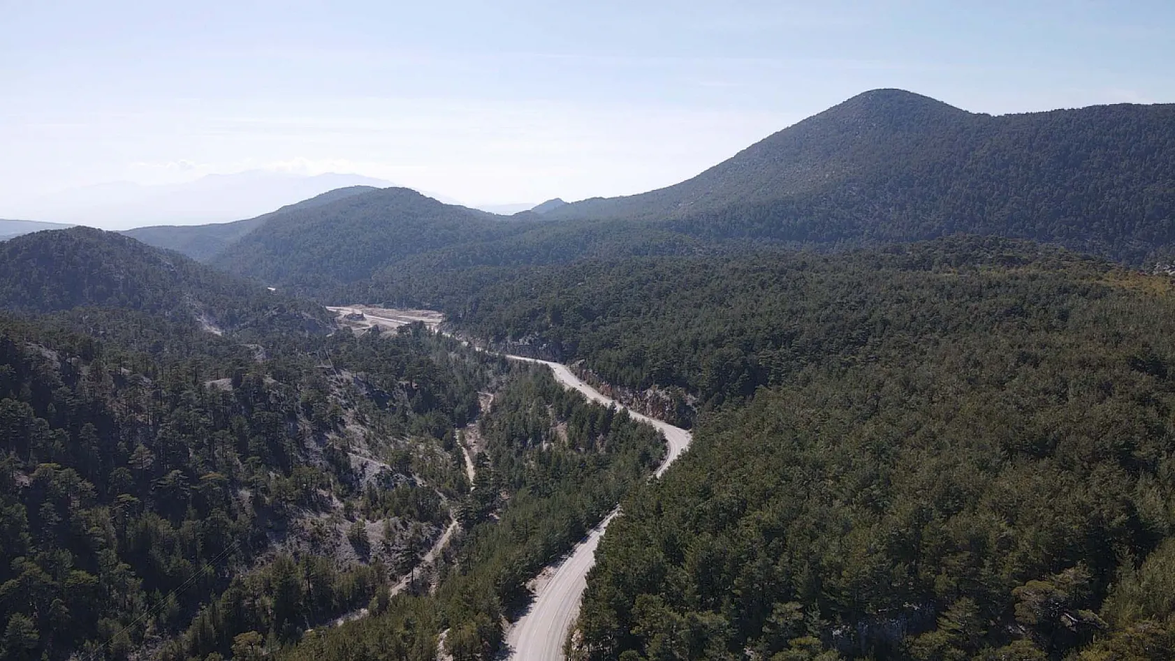 Muğla'da taşımayla kurulan 'basralı çam alanları' bal hasadını artıracak