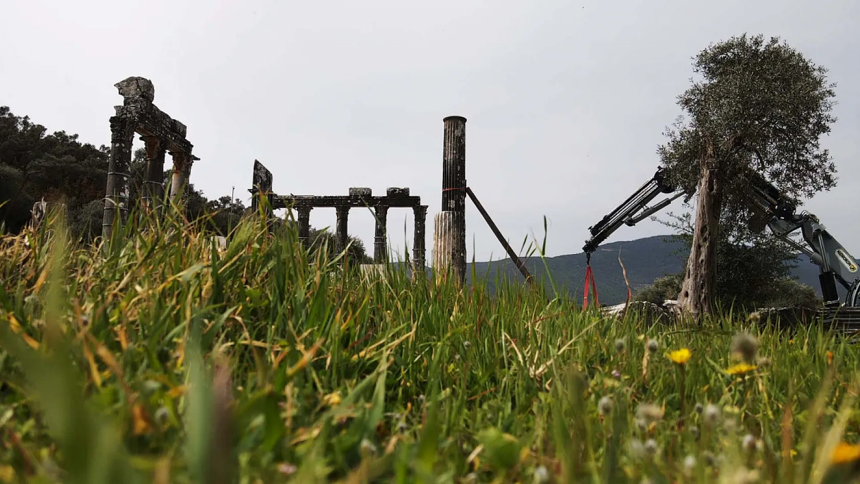 Zeus Tapınağı restore edilen sütunlarıyla eski ihtişamına kavuşacak