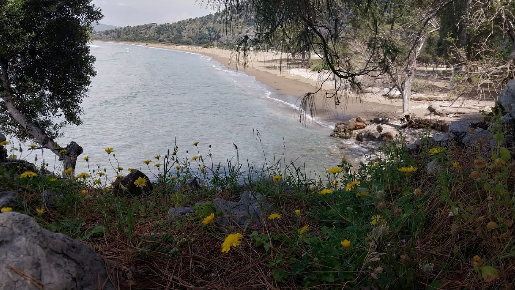 İztuzu Sahili'nde caretta carettalar için hazırlıklar tamamlandı