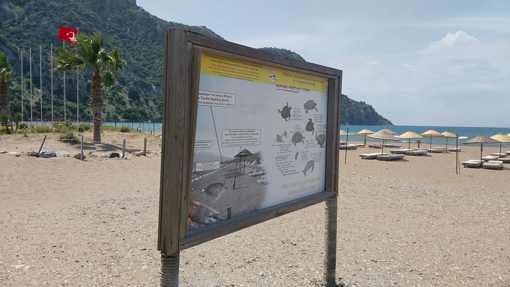 İztuzu Sahili'nde caretta carettalar için hazırlıklar tamamlandı