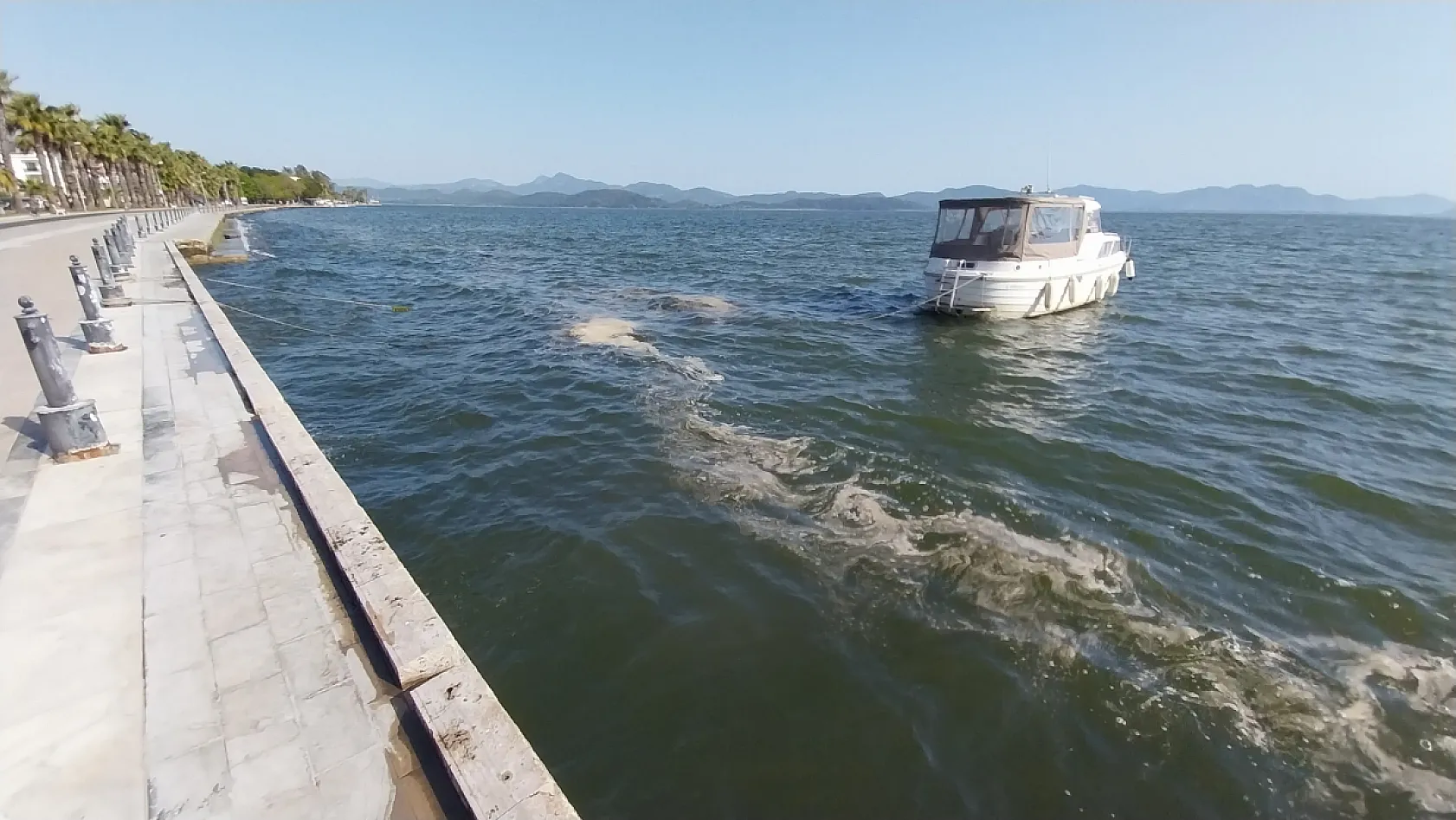 Köyceğiz Gölü'nün kıyısında polen yoğunluğu oluştu