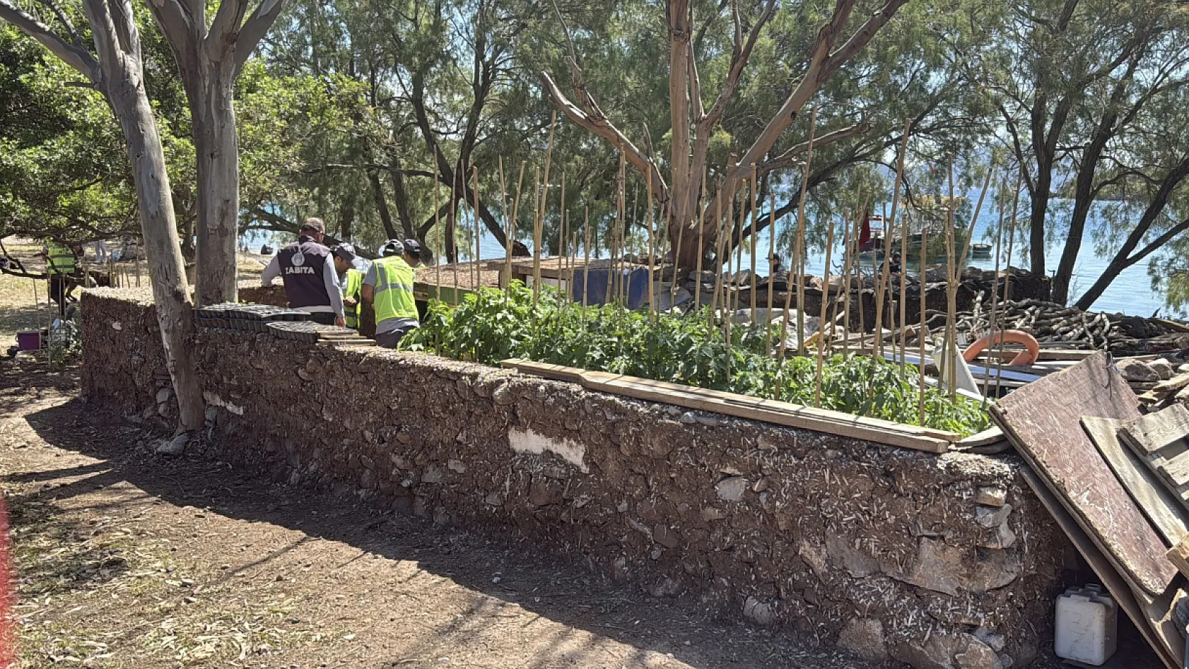 Bodrum'da doğal sit alanındaki kaçak yapı yıkıldı