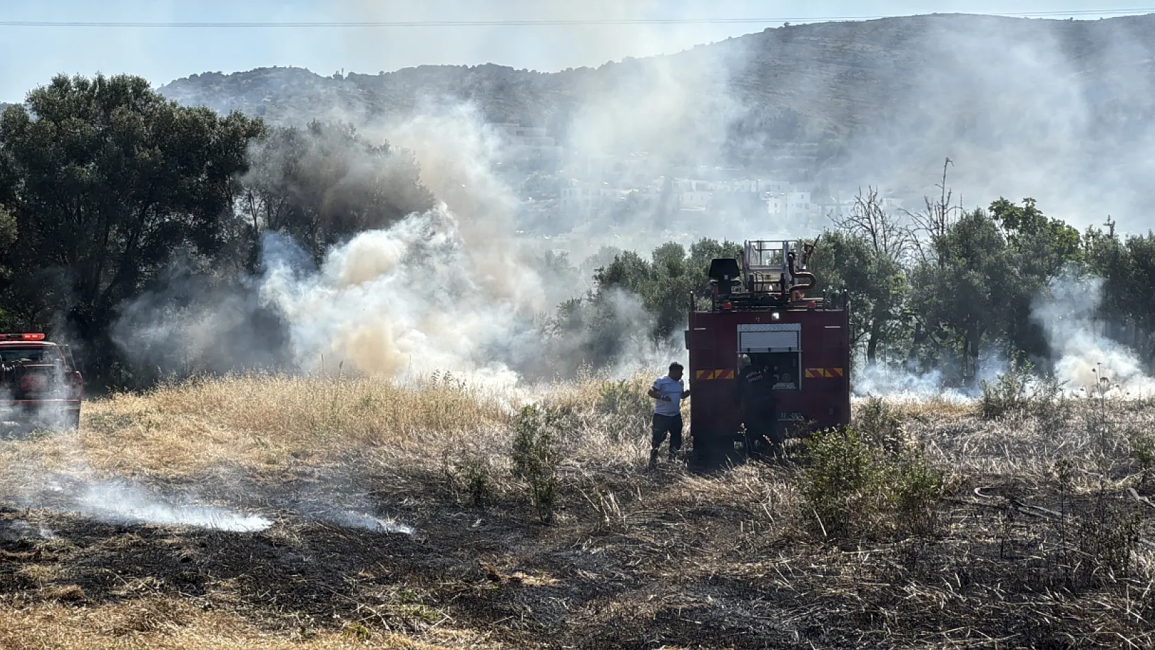 Bodrum'da tarım arazisi ve otluk alanda çıkan yangın söndürüldü