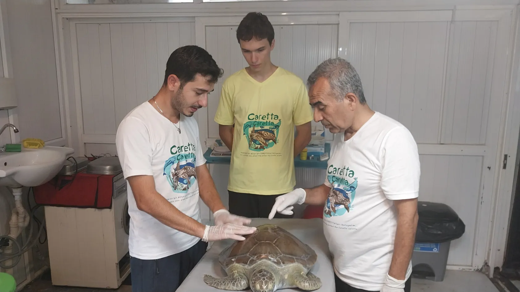 Muğla'da deniz kaplumbağasının kırılan kabuğuna diş dolgusu uygulandı