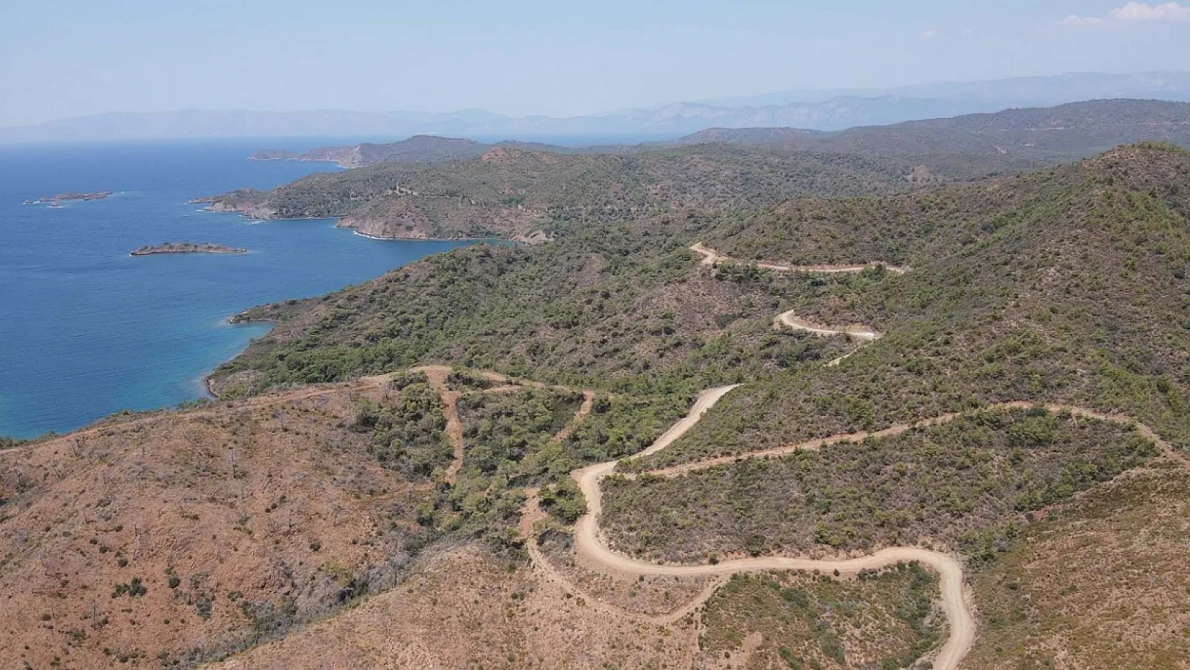 Marmaris'te yanan ormanlık alanlar yeniden yeşeriyor