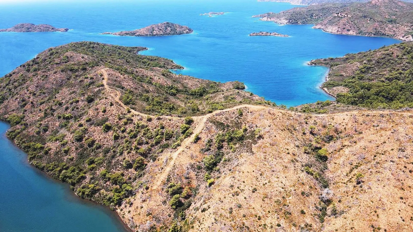 Marmaris'te yanan ormanlık alanlar yeniden yeşeriyor