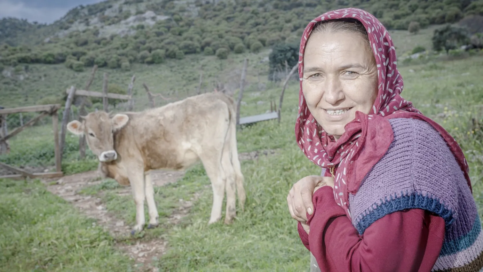 Denizli'den Dalaman'a: Çobanların 6 Aylık Sıra Dışı Göç Yolculuğu