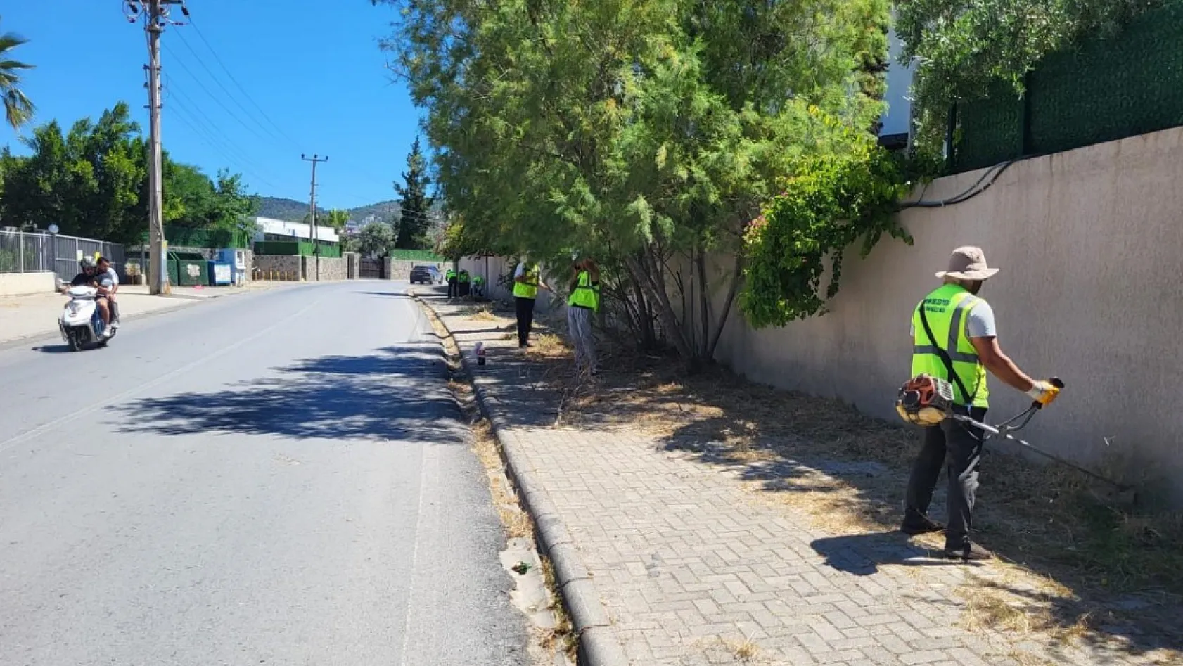 Bodrum'da dalgıçlar denizden 250 kilogram atık çıkardı