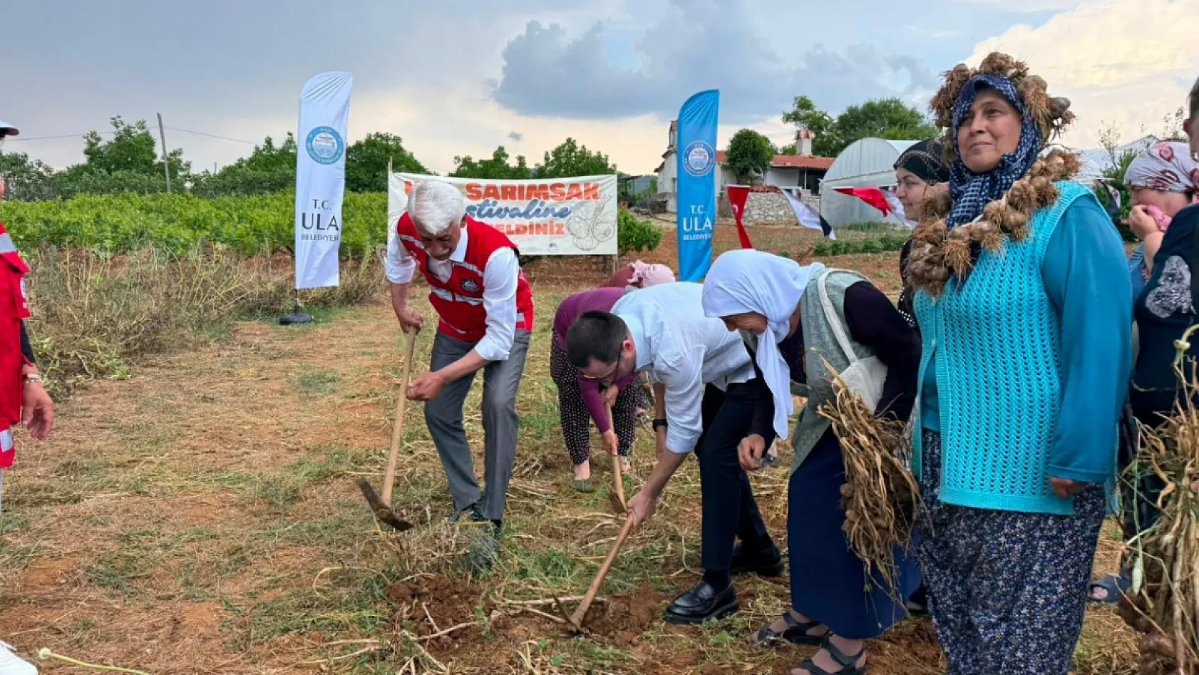 Ula'da sarımsak festivali yapıldı