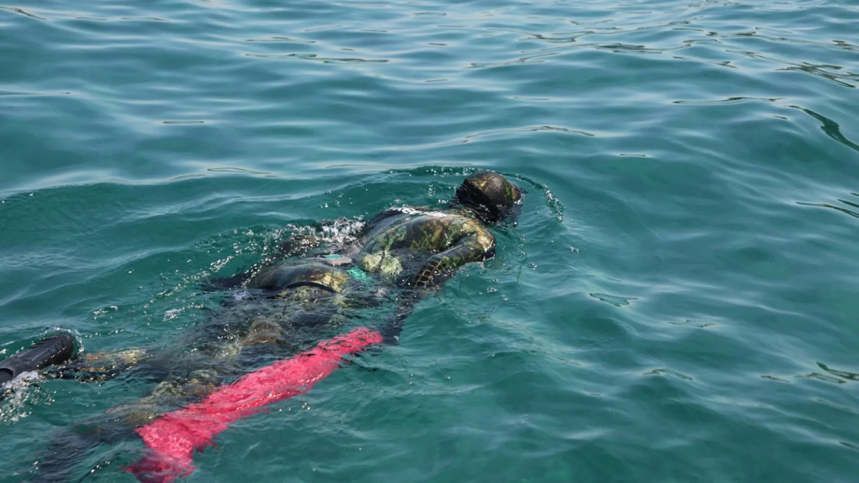 Bodrum'da deniz dibi temizliğinde 260 kilogram atık çıkarıldı