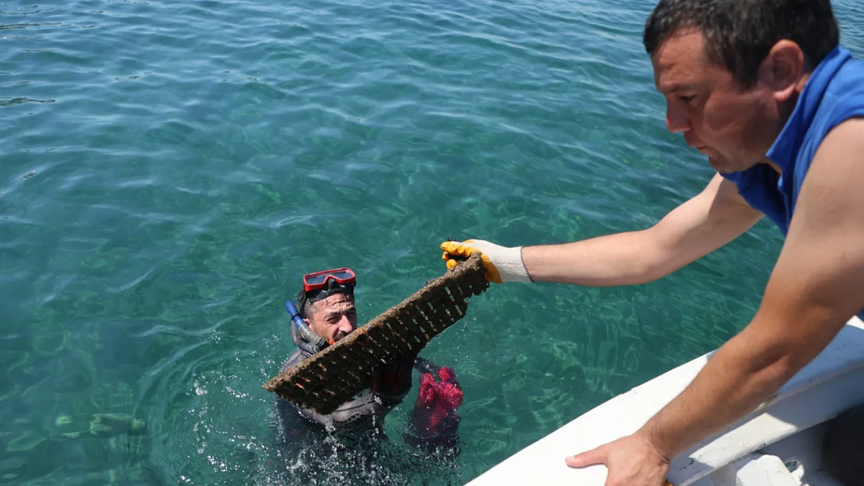 Bodrum'da deniz dibi temizliğinde 260 kilogram atık çıkarıldı